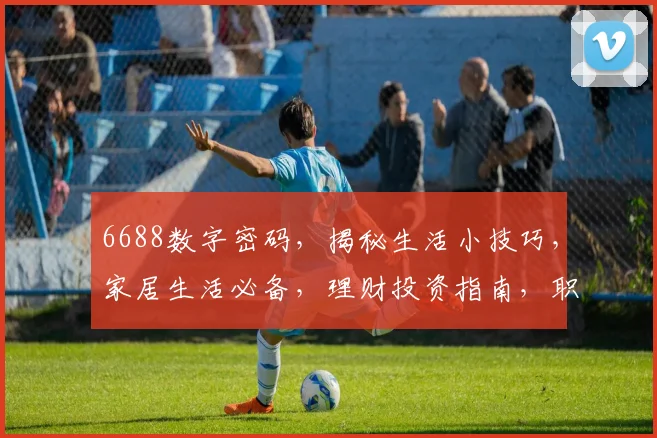 6688数字密码，揭秘生活小技巧，家居生活必备，理财投资指南，职场晋升秘籍