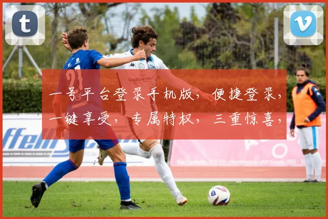 一号平台登录手机版，便捷登录，一键享受，专属特权，三重惊喜，不容错过