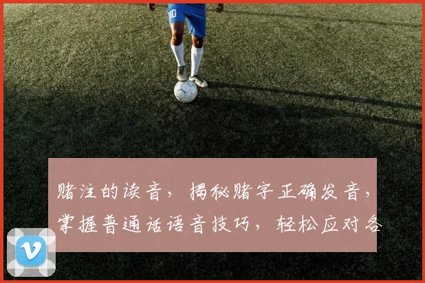 赌注的读音，揭秘赌字正确发音，掌握普通话语音技巧，轻松应对各类场合交流